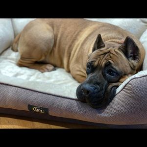 Meet your Posher, Mia